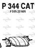 P344CAT.JPG