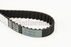 BELTPIC_CT791.JPG