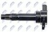 ECZ-MS-004_3-WM.JPG