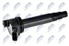 ECZ-TY-018_2-WM.JPG
