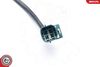 SKV_09SKV683_WM_03.JPG