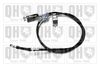 QH_BC3900.JPG