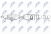 NPW-MZ-041_9-WM.PNG
