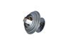Termostat, chladivo 725117