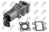 EGR-TY-009_2-WM.JPG