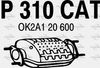 P310CAT.JPG