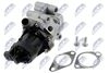 EGR-FT-010_2-WM.JPG