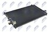 CCS-HY-020_2-WM.JPG
