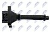 ECZ-FT-003_4-WM.JPG