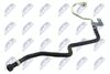 CPP-FT-006_2-WM.JPG