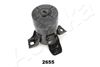 GOM-2655_1.JPG