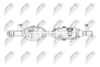 npw-ns-207_9-wm.PNG
