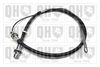 QH_BC4347.JPG