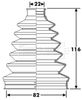 BCB6285_292593.JPG