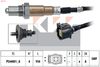 498 110-KW.JPG