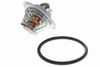 V15-99-2087_02.JPG