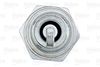 VALEO_SPARK_PLUG_246861_03.JPG