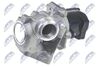 EGR-CT-000_2-WM.JPG