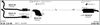 566000220.BMP