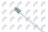 HLR-SK-006_3-WM.JPG