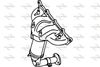 P9592CAT.JPG