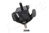 GOM-2268_1.JPG
