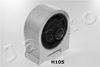 GOJH105_1.JPG
