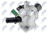 CTM-PL-008_2-WM.JPG