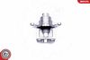 SKV_45SKV674_WM_07.JPG