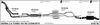 525000311.BMP