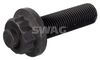 Pilley bolt SWAG 30 05 0017