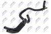 cpp-vw-022_2-wm.JPG