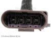ADV187002_2.JPG