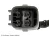 ADT37078_2.JPG