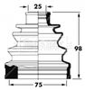 BCB6031_291998.JPG