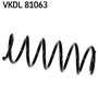 VKDL 81063.JPG
