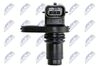 ECP-NS-024_4-WM.JPG