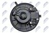 ewn-vw-007_5-wm.JPG