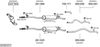 SYS07277.JPG