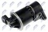 EGR-DW-001_2-WM.JPG