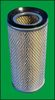 08_PHLU_LFAF347.BMP