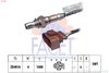 10.7428-FA.JPG