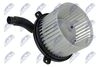 EWN-MS-004_1-WM.JPG