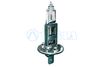 B10101.BMP