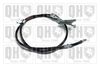 QH_BC3804.JPG