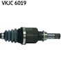 VKJC 6019_3.JPG