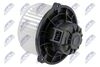 EWN-KA-002_2-WM.JPG