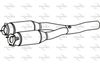 P9743CAT.JPG
