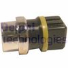 Датчик, температура теплоносія DELPHI TS10245-12B1 (TS10245)