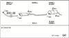 pet14766a_5237783.JPG